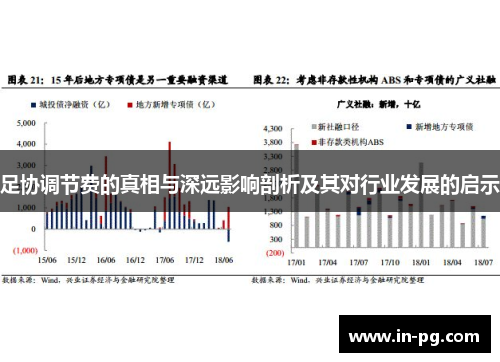 足协调节费的真相与深远影响剖析及其对行业发展的启示 足协调节费的真相与深远影响剖析及其对行业发展的启示