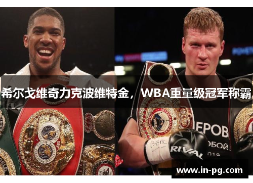 希尔戈维奇力克波维特金，WBA重量级冠军称霸