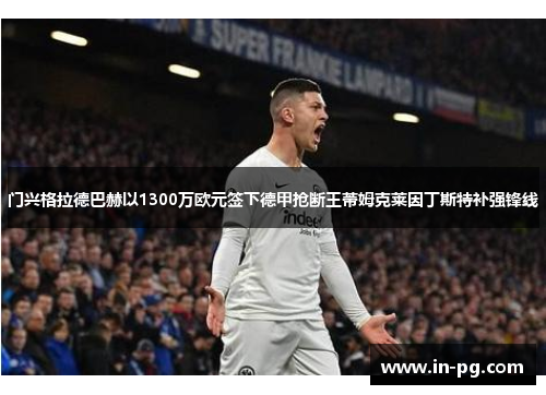 门兴格拉德巴赫以1300万欧元签下德甲抢断王蒂姆克莱因丁斯特补强锋线